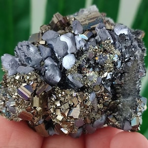 Galena with Pyrite from Krushev dol  mine,Madan ore field,Rhodope Mts,Smolyan Oblast,Bulgaria,Minerals,Crystals,Gemstone,Gemstones,N9