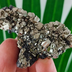 Amazing Golden Pyrite from Borieva mine,Madan ore field,Rhodope Mts,Smolyan Oblast, Bulgaria, Minerals, Crystals,Specimens,Fools Gold,N13