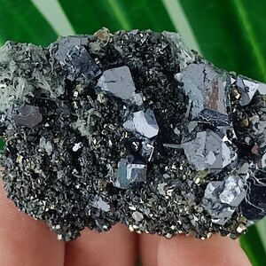 Beautiful Sphalerite with Galena from Krushev dol mine,Madan ore field,Rhodope Mts,Smolyan Oblast,Bulgaria,Minerals,Crystals,Gemstone,N13