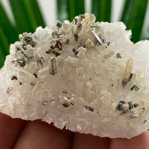 Very nice Quartz Cluster from 9th September mine,Madan ore field,Rhodope Mts,Smolyan Oblast,Bulgaria,Minerals, Crystals,Gemstone,Gem,N44