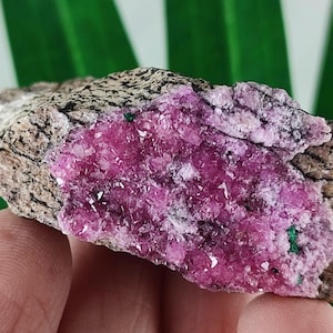 Belle calcite de cobalt de la République du Congo, cristal de calcite de cobalt, minéral de calcite de cobalt, cristal rose, minéral rose, rose, N 78