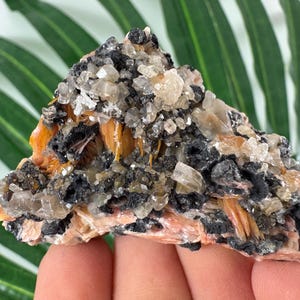 Cerussite su barite dal Marocco, cristallo, minerale, campione, aggregato, cristallo di barite, cerussite, N139