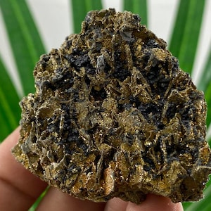Rare Pyrite-Pyrrhotite from Borieva mine,Madan ore field,Rhodope Mts,Smolyan Oblast,Bulgaria,Rare Crystal, Bulgarian Minerals,Galena,N20