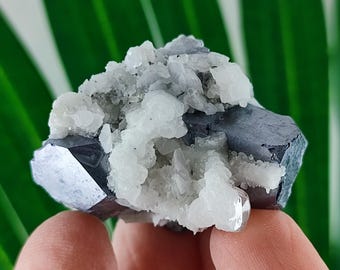 May include: A close-up of a mineral specimen featuring a cluster of gray, metallic galena crystals with white quartz formations. The crystals have a reflective surface and are set against a green background.