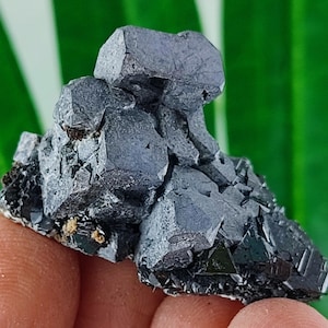 INCREDIBLE Sphalerite with Galena from Krushev dol mine,Madan ore field,Rhodope Mts,Smolyan Oblast,Bulgaria,N15