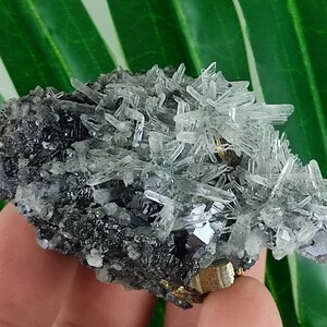 Quartz with Sphalerite,Pyrite from Krushev dol mine,Madan ore field,Rhodope Mts,Smolyan Oblast,Bulgaria,Minerals, Crystals, Gemstone,N34