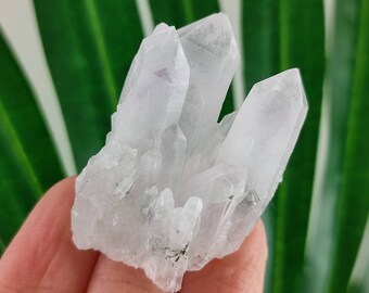 Very nice Amethyst from Djurkovo mine,Laki,Bulgaria,Natural Crystal,Home Decor,Energy Crystal,Cluster,Bulgarian Minerals and CrystalsN54