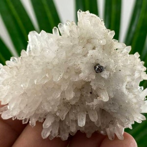 Very nice Quartz Cluster from 9th September mine,Madan ore field,Rhodope Mts,Smolyan Oblast,Bulgaria,Minerals, Crystals,Gemstone,Gem,N44