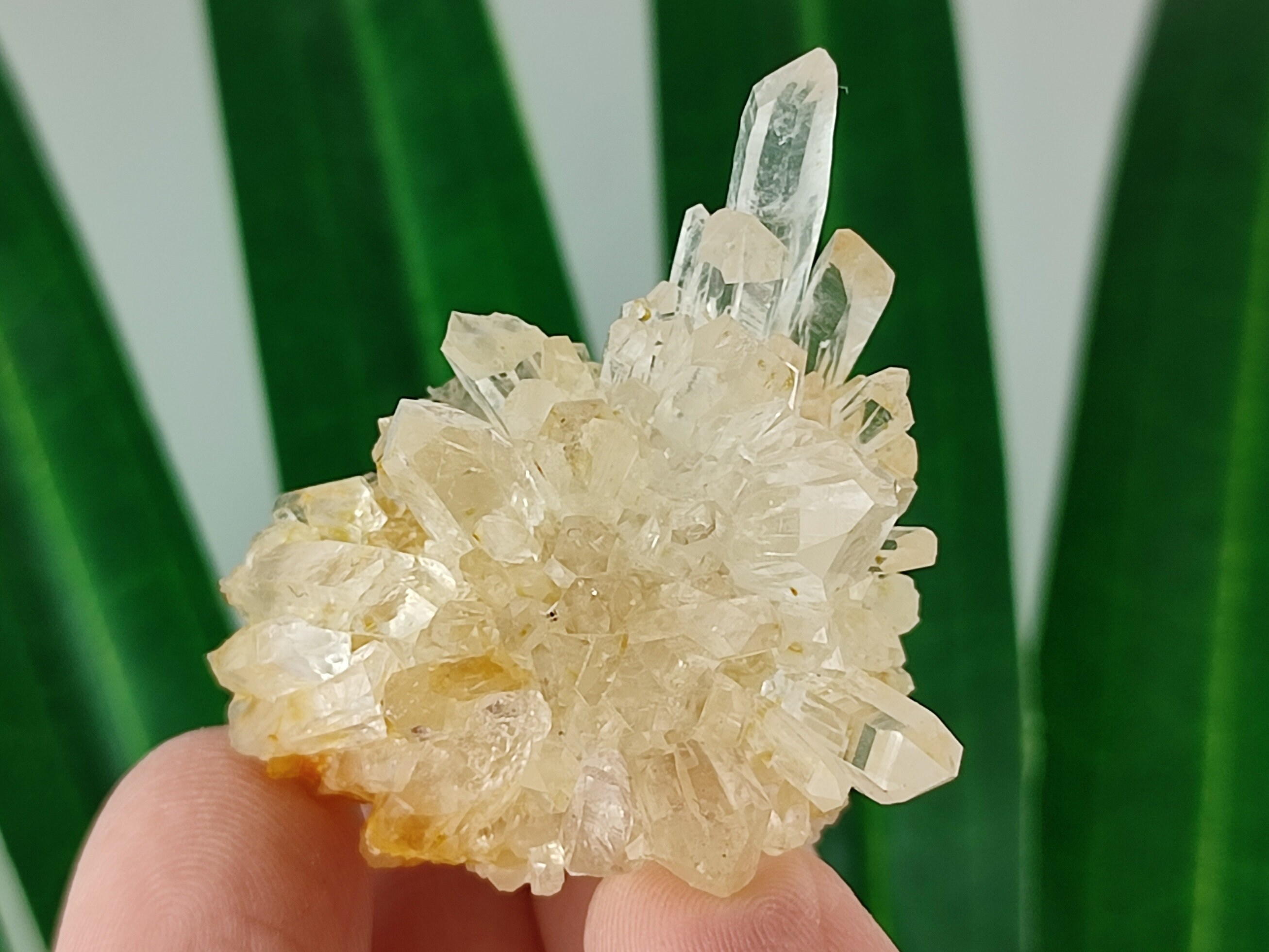 Quartz  with Limonite from 9th September mine,Madan ore field,Rhodope Mts, Smolyan Oblast,Bulgaria,Minerals,Natural Crystal,Home DecorN33