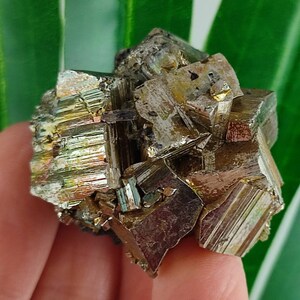 Wonderful Pyrite Crystal from Krushev dol mine,Madan ore field,Rhodope Mts,Smolyan Oblast,Bulgaria,Minerals, Crystals, Gemstone,Gemstone,N12
