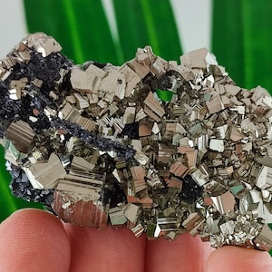 Amazing Golden Pyrite from Borieva mine,Madan ore field,Rhodope Mts,Smolyan Oblast, Bulgaria, Minerals, Crystals,Specimens,Fools Gold,N15