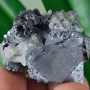 Not Available Galena with Sphalerite from Kru6ev dol mine,Madan ore field,Rhodope Mts,Smolyan Oblast,Bulgaria,Minerals,Crystals,Gemstone,