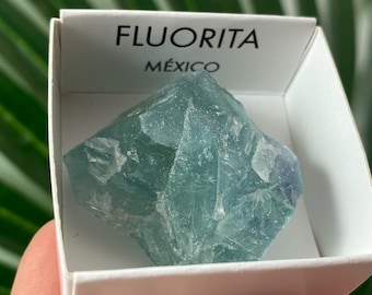 Fluorite: Mexico,Mineral Specimen,green Fluorite,Fluorite from Mexico ,Collection, Fluorite Collectors,Crystal Fluorite,