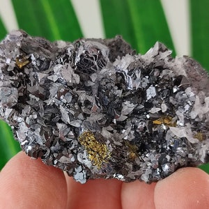 Quartz with Sphalerite,Galena and Chalcopyrite from Krushev dol mine,Madan ore field,Rhodope Mts,Smolyan Oblast,Bulgaria,Crystal,,N17
