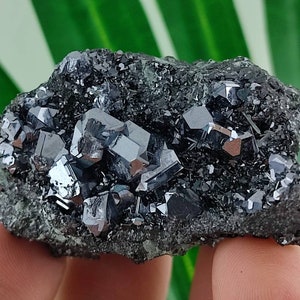 Beautiful Galena with Sphalerite from Krushev dol mine,Madan ore field,Rhodope Mts,Smolyan Oblast,Bulgaria,Minerals, Crystals, Gemstone,N13