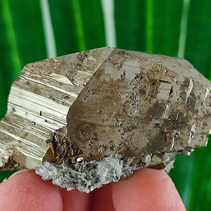 Very rare crystallisation Pyrite from Borieva mine,Madan ore field,Rhodope Mts,Smolyan Oblast, Bulgaria, Minerals, Crystals,Specimens,N16