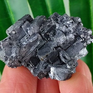 Galena from Krushev dol mine,Madan ore field,Rhodope Mts,Smolyan Oblast, Bulgaria,Minerals,Crystals,Specimens,N24
