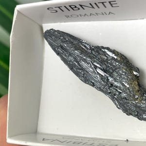 Puede incluir: Cristal de estibina gris oscuro de Rumanía, exhibido en una caja blanca. El cristal tiene un brillo metálico y una estructura alargada y en capas. La caja está etiquetada como "STIBNITE ROMANIA."