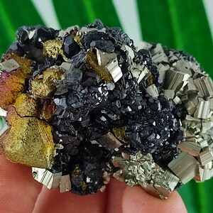 Incredible Iridescent Chalcopyrite,Sphalerite and Pyrite from  Krushev dol mine,Madan ore field,Rhodope Mts,Smolyan Oblast,Bulgaria,N21