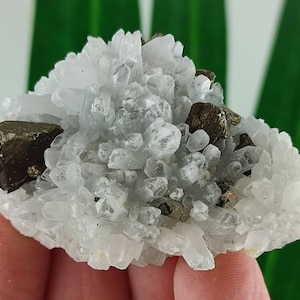 Beautiful Quartz with Chalcopyrite from Djurkovo mine,Laki,Rhodope Mts,Plovdiv Oblast,Bulgaria,Home decor,rocks,Geodes,N33