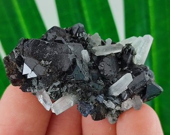 Quartz Avec Sphalérite Naturel - 254 Grammes, Provenance Madan, Bulgarie, Pièce De Collection Neuf