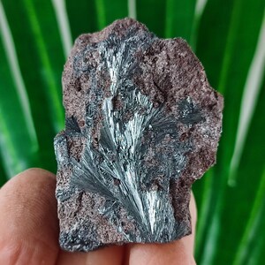 May include: A close-up of a rough, dark gray rock with silver, needle-like crystals embedded in it. The rock has a natural, irregular shape.