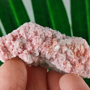 Rare Rhodochrosite with Quartz  from Davidkovo ore Filed,Bulgaria,Pink Crystal,Rodochrosite Crystal,Stone,Top Pink color