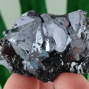 Amazing Galena,Sphalerite from Borieva mine,Madan ore field,Rhodope Mts,Smolyan Oblast,Bulgaria, Mineral,Crystal,N14