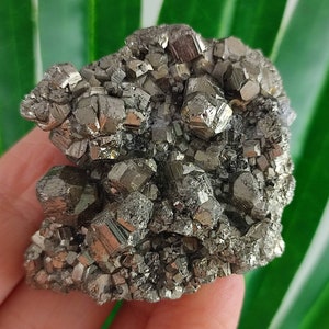 Wonderful Pyrite Crystal from Krushev dol mine,Madan ore field,Rhodope Mts,Smolyan Oblast,Bulgaria,Minerals, Crystals, Gemstone, Gemstone,