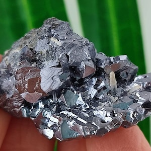 Amazing Galena with Combination from Krushev dol mine,Madan ore field,Rhodope Mts,Smolyan Oblast,Bulgaria,Minerals, Crystals, Gemstone,N12
