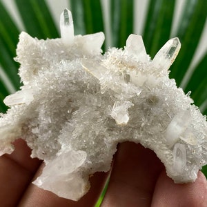 Very nice Quartz Cluster from 9th September mine,Madan ore field,Rhodope Mts,Smolyan Oblast,Bulgaria,Minerals, Crystals,Gemstone,Gemston,N31