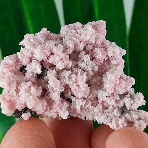 Rare Rhodochrosite with Quartz  from Davidkovo ore Filed,Bulgaria,Pink Crystal,Rodochrosite Crystal,Stone,Top Pink color