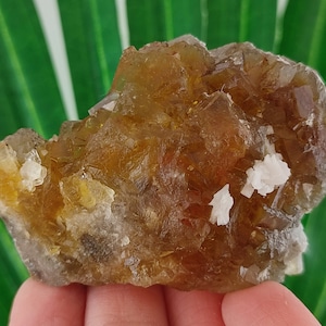Yellow Fluorite with Pyrite from Spain,Mineral Specimen,Yellow Fluorite,Fluorite from Spain,Collection,Fluorite Collectors,Fluorite,