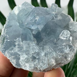 以下が含まれることがあります： 水色のセレスタイト結晶クラスター。結晶は、複数の結晶構造を持つ、ざらざらとした質感の外観をしています。背景には緑の葉があり、結晶の色と質感に自然なコントラストを与えています。