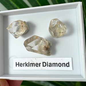 Diamant Herkimer (mini) - Cristal de quartz naturel à double terminaison, Taille du support : 4 x 3,5 cm