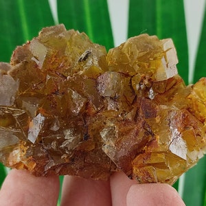 Yellow Fluorite with Pyrite from Spain,Mineral Specimen,Yellow Fluorite,Fluorite from Spain,Collection,Fluorite Collectors,Fluorite,