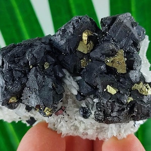 Quartz with Sphalerite and Chalcopyrite from 9th September mine,Madan ore field,Rhodope Mts,Smolyan Oblast,Bulgaria,Minerals,Crystals,N9