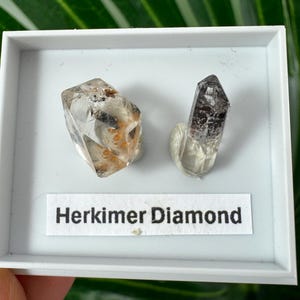 Op de afbeelding: Twee Herkimer diamantkristallen worden gepresenteerd in een witte doos. De kristallen zijn transparant met bruine en zwarte insluitsels. Een label hieronder luidt "Herkimer Diamond".