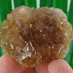 Yellow Fluorite with Pyrite from Spain,Mineral Specimen,Yellow Fluorite,Fluorite from Spain,Collection,Fluorite Collectors,Fluorite,