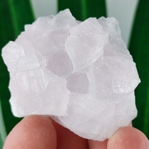Peut inclure: Un amas de cristaux de sélénite blancs avec une apparence translucide et laiteuse. Les cristaux sont disposés de manière aléatoire et organique, créant un spectacle unique et magnifique.