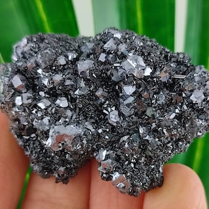 Amazing Galena with Sphalerite from Krushev dol mine,Madan ore field,Rhodope Mts,Smolyan Oblast,Bulgaria,Minerals, Crystals, Gemstone,N13
