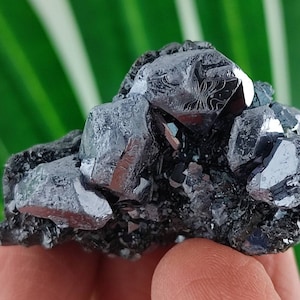 Amazing Galena with Sphalerite from Krushev dol mine,Madan ore field,Rhodope Mts,Smolyan Oblast,Bulgaria,Minerals, Crystals, Gemstone,N13