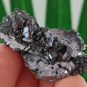 Aesthetic Sphalerite with Galena from Krushev dol mine Madan ore field,Rhodope Mts,Smolyan Oblast,Bulgaria,Minerals,Gemstone,N19
