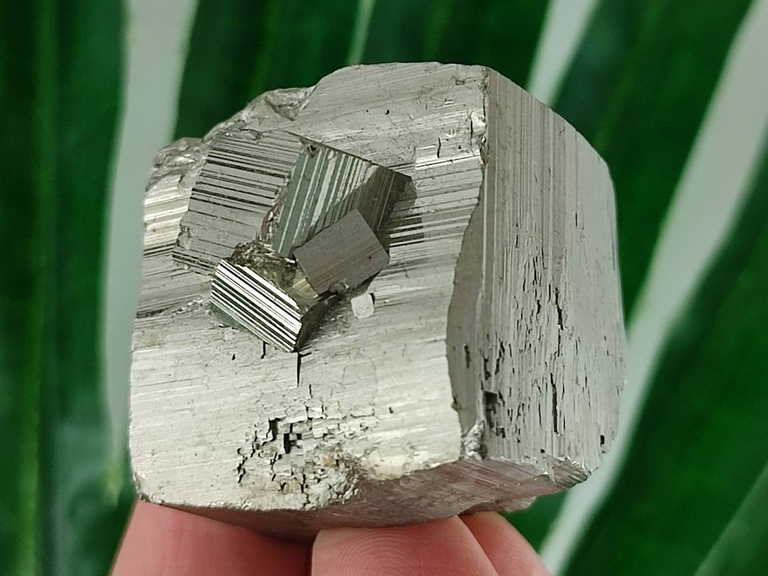 Qped Rocks Golden Pyrite From 9th Septemvri Mine (deveti Septemvri Mine),madan Ore ...