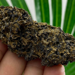 Rare Pyrite-Pyrrhotite from Borieva mine,Madan ore field,Rhodope Mts,Smolyan Oblast,Bulgaria,Rare Crystal, Bulgarian Minerals,Galena,N21