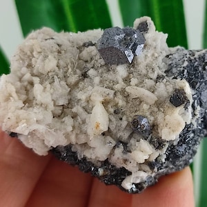 May include: A cluster of gray and white crystals with a large, dark gray, cubic crystal in the center.