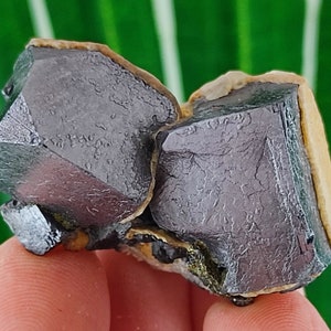 Beautiful Galena with Calcite from 9th September mine,Madan ore field,Rhodope Mts,Smolyan Oblast,Bulgaria,N16