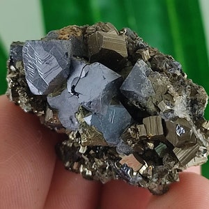 Beautiful Pyrite and Galena from Borieva mine,Madan ore field,Rhodope Mts,Smolyan Oblast, Bulgaria, Minerals,Crystals,Specimens,Galena,N25