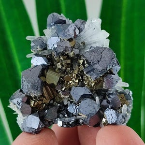 Beautiful Galena and Pyrite,Quartz  from Krushev dol mine,Madan ore field,Rhodope Mts,Smolyan Oblast,N55,Gemstones