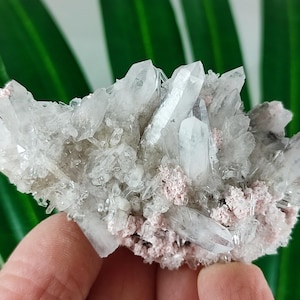 Rare Rhodochrosite with Quartz  from Davidkovo ore Filed,Bulgaria,Pink Crystal,Rodochrosite Crystal,Stone,Top Pink color